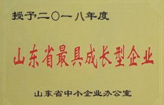 山东省最具成长型企业